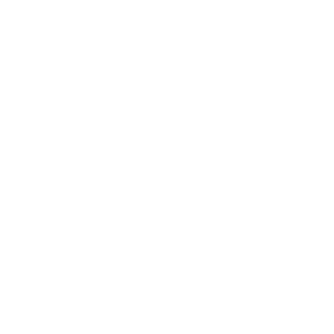 Logo David's Burger - Magdeburg